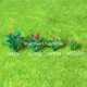 heart shape flower grass