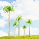 C4 coconut tree-plastic