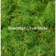 grass powder 07