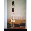 traffic light 16