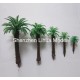 coconut tree B series