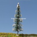 pine tree 06