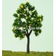 fruit tree 01