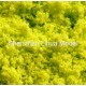 B01 tree powder---yellow green boutique tree powder