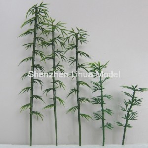 iron wire bamboo----iron stem tree