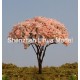 flower tree 14G