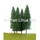 pine tree 22