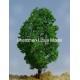 silk leaf wire tree 19--model train tree OO HO TT N scale