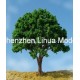 HIFI stem wire tree 27